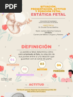 Estática Fetal