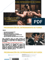 Programacion Del Entrenamiento de Fuerza