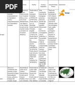 Cuadro Comparativo de Los Continentes