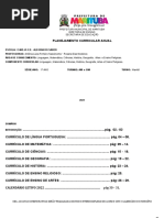 Planejamento Curricular Anual Turma 1º Ano Am e BM 2022