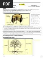 Cours Sur La Taille Des Arbres