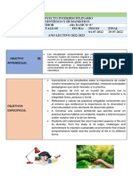 Proyecto Interdisciplinario