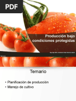 Producción Tomate