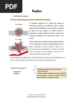 Resumen Patologia