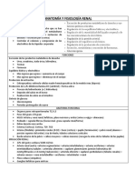 Anatomía y Fisiología Renal