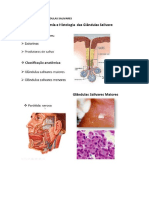 11 Glândulas Salivares