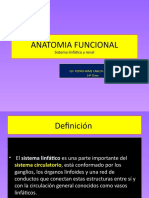 A.F. 14 Clase: "Anatomía Funcional"