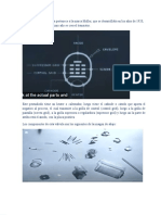 PDF Documento