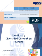 Identidad y Diversidad Cultural en El Pe