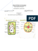 Soriano, Cindy M. (Bio 024) Lab Activity 3 - The Animal Cell