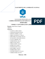 Crisis y Contaminacion Ambiental - Monografia