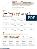 Observa y Responde.: Tipo de Alimentación