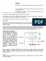 Sintesis de Proteinas Paso A Paso