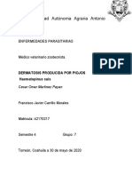 Dermatosis Producida Por Piojos Cear Omar Martinez Payan Gpo 7