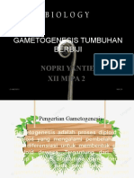 (PPT) Gametogenesis Tumbuhan Berbiji