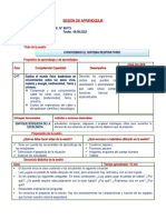 Sistema Respiratorio