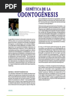 Articulogentica Odontogeneis