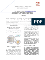 Informe Camara Newbauwer