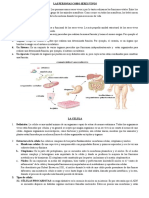 Modulo de 2º B