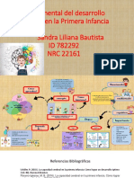 Mapa Mental Capacidad Cerebral en La Primer Ainfancia