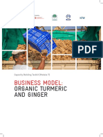 Business Model:: Organic Turmeric and Ginger