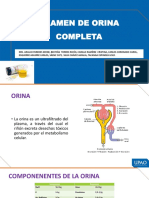 S.14 - Examen de Orina Completa, Cultivo e Interpretación de Sus Alteraciones