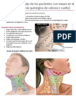 Anatomia de Cabeza y Cuello