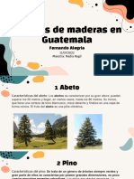 1o Tipos de Maderas Naturalea en Guatemala1