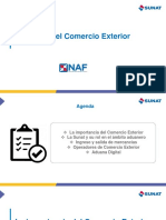 La SUNAT y El Comercio Exterior NAF