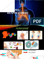 Sistema Respiratorio Superior