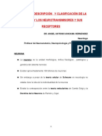 CLASE 1 Definición, Descripción y Clasificación de La Neurona y Los Neurotransmisores y Sus Receptores