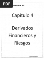 Capitulo 4 Derivados Financieros y Riesgo