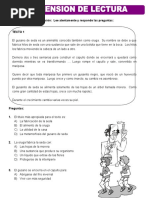 Comprension Lectora para Cuarto de Primaria