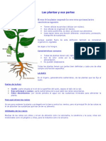 Las Plantas y Sus Partes Dcto