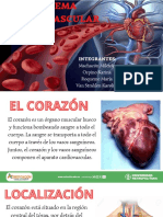 Sistema Cardiovascular