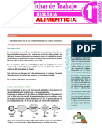 Cadena Alimenticia para Primer Grado de Secundaria