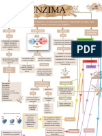 Mapa Conceptual Enzimas