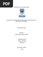 Apartados de Un Informe Neuropsicologico