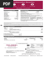 Payment Information Summary of Account Activity