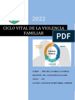 Ciclo Vital de La Violencia Familiar