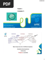 Power Point UNIC Aula 2 2022 02