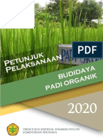 Petunjuk Pelaksanaan Padi Organik 2020