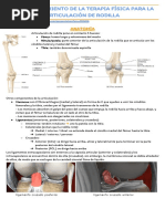 Terapia Física para La Articulación de La Rodilla