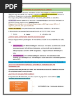 Tema 7 Catabolismo de Los Esqueletos de Carbono