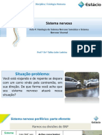 Aula 4 - Fisiologia Do Sistema Nervoso Som Tico e Sistema Nervoso Visceral