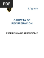 Carpeta de Recuperación