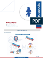 CB+FT Traumatología