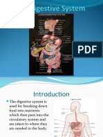 The Digestive System