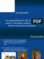 Artrpodes PPT 101107142358 Phpapp01