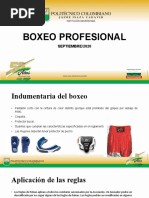 Boxeo Profesional